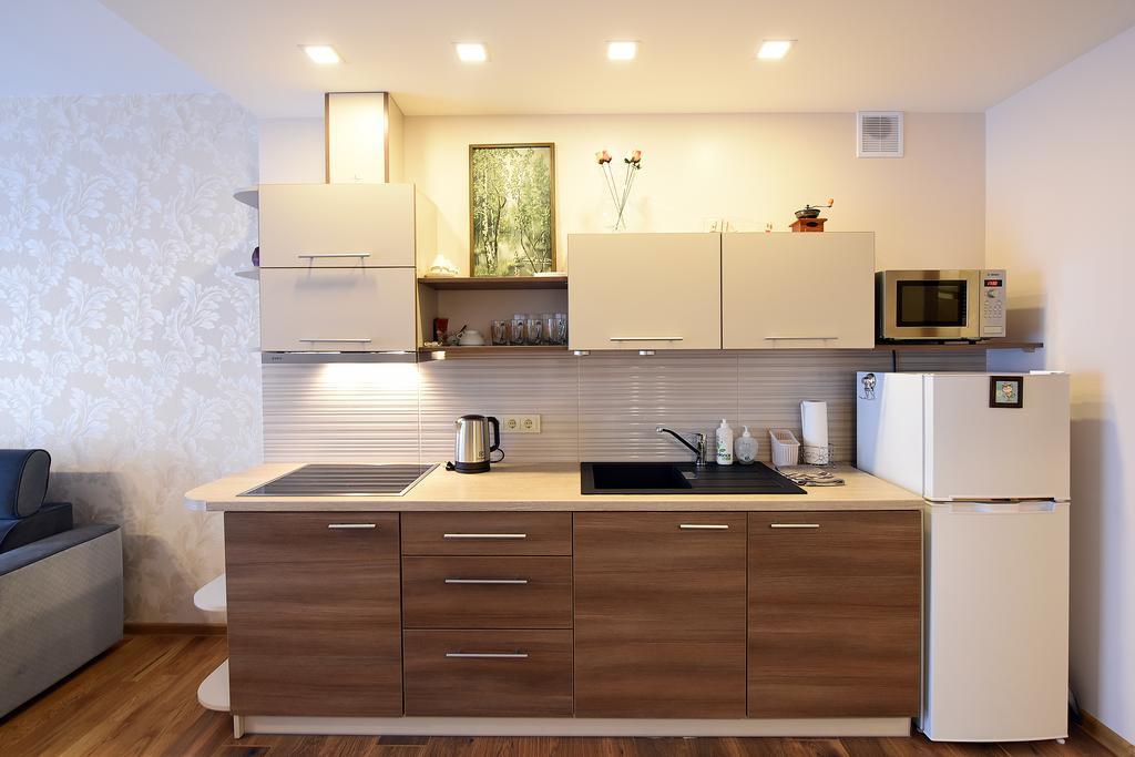 Butas Druskupio Apartment Birstonas Bagian luar foto